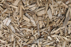 biomass boilers Wroot